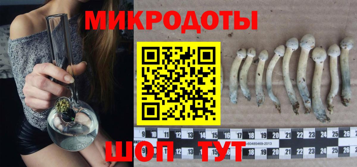 Псилоцибиновые грибы GOLDEN TEACHER Можайск