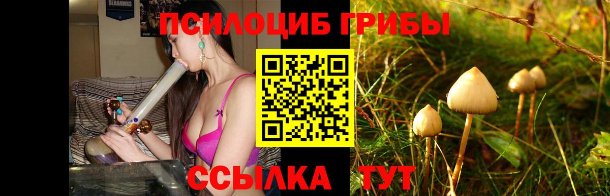 где найти наркотики  Галлюциногенные грибы Cubensis  Вход с VPN  Можайск 